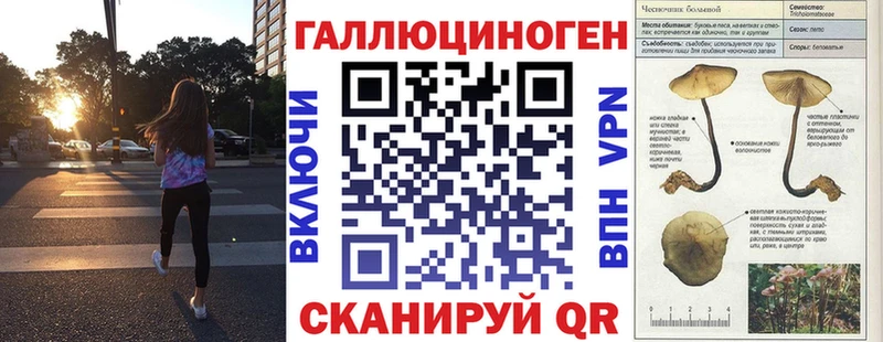 Купить  Верхняя Салда  Галлюциногенные грибы Magic Shrooms 